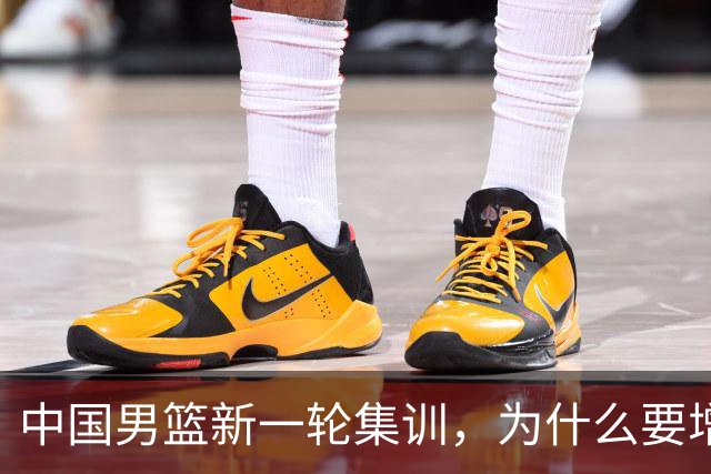 中国男篮新一轮集训，为什么要增补两名后卫，郭士强说出心里话
