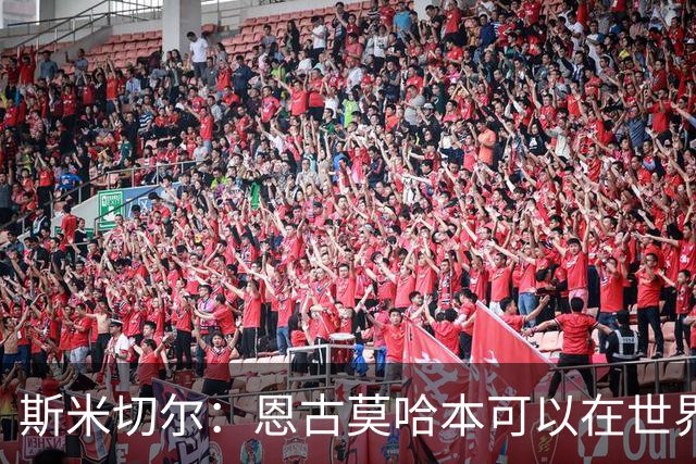 斯米切尔：恩古莫哈本可以在世界杯改变局势，但他能参加下一届